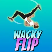 Wacky Flip Online Stunt Game